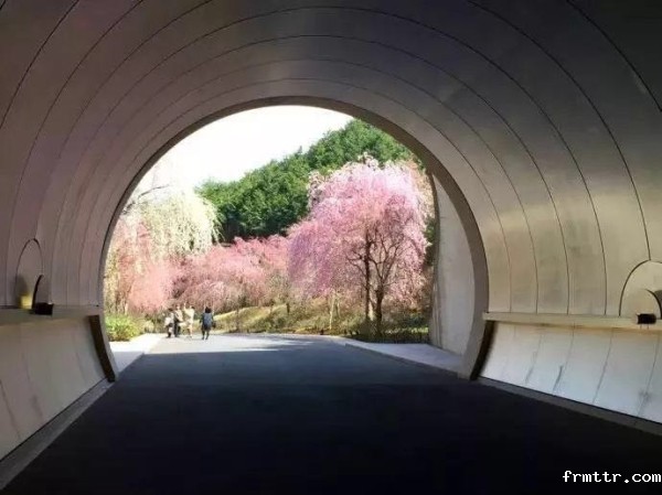 美术馆设计作品，这或许是艺术的最高追求