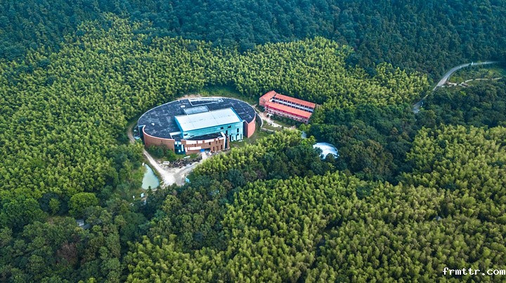 森林博物馆设计很重要，森林博物馆主要展陈什么？