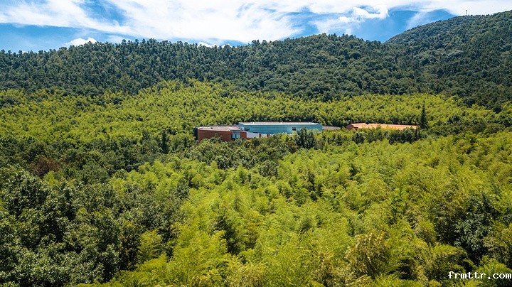 森林博物馆设计很重要，森林博物馆主要展陈什么？