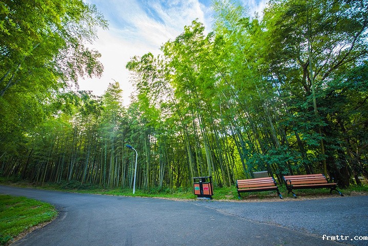 森林博物馆设计很重要，森林博物馆主要展陈什么？