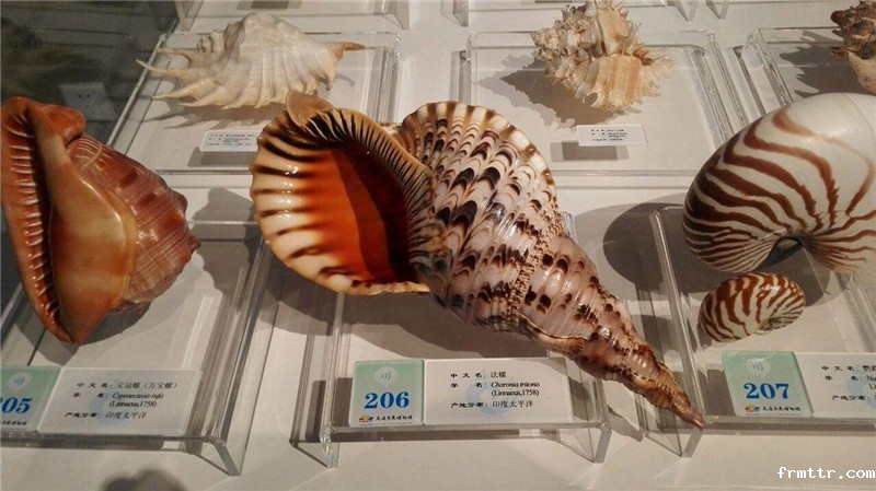 贝壳博物馆设计，一起来看看大连贝壳博物馆！