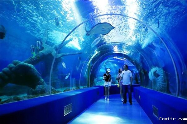 海洋科普体验展馆设计，哪些海洋馆值得去？