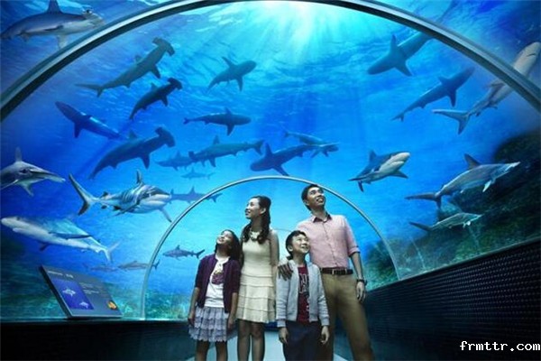 海洋科普体验展馆设计，哪些海洋馆值得去？