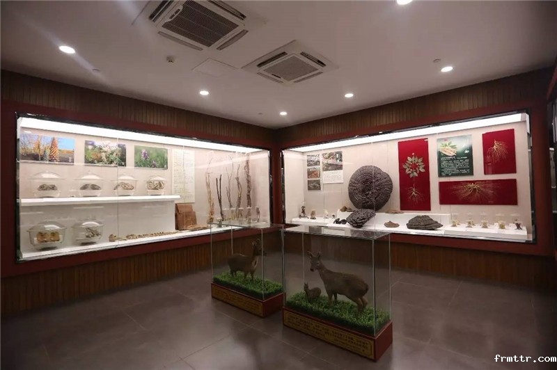 中医药文化馆设计，中药医学传承千年将继续绽放光辉