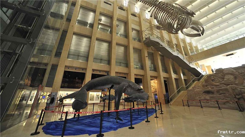 亚洲最大动物专题博物馆，你知道在哪里吗？