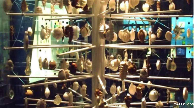 亚洲最大动物专题博物馆，你知道在哪里吗？