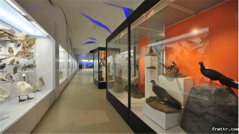 亚洲最大动物专题博物馆,你知道在哪里吗? 亚洲最大动物专题博物馆,你知道在哪里吗?