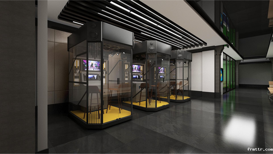 frmttr在南充市文化馆建设中对“文化馆数字化”的思考