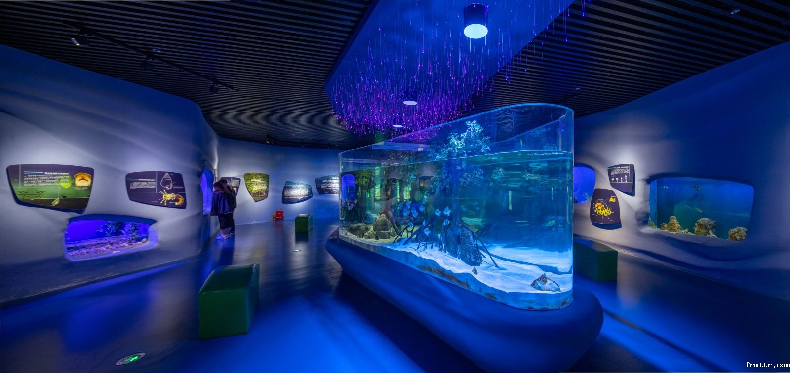 国内值得一去的博物馆，天津国家海洋博物馆