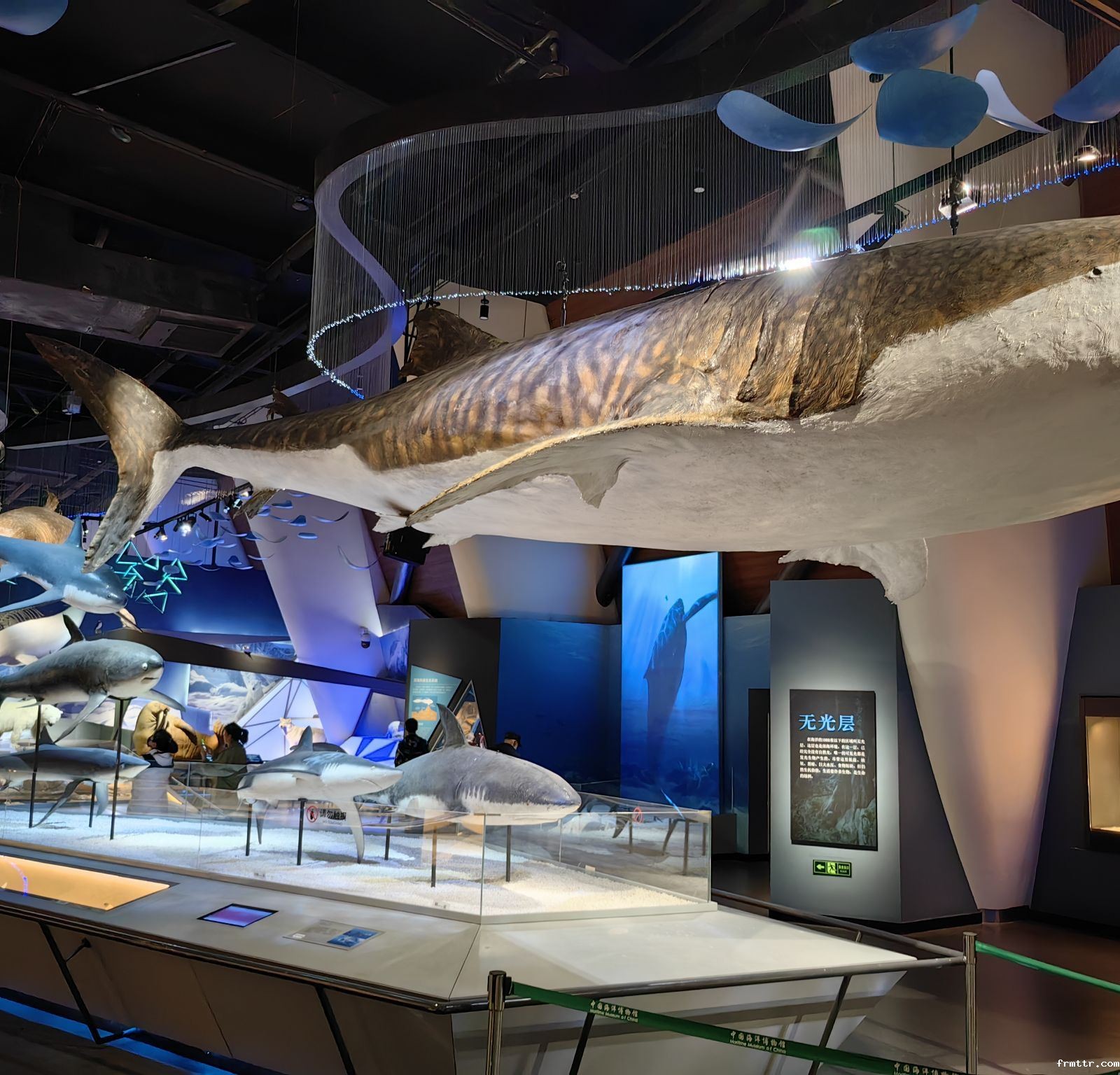 国内值得一去的博物馆，天津国家海洋博物馆