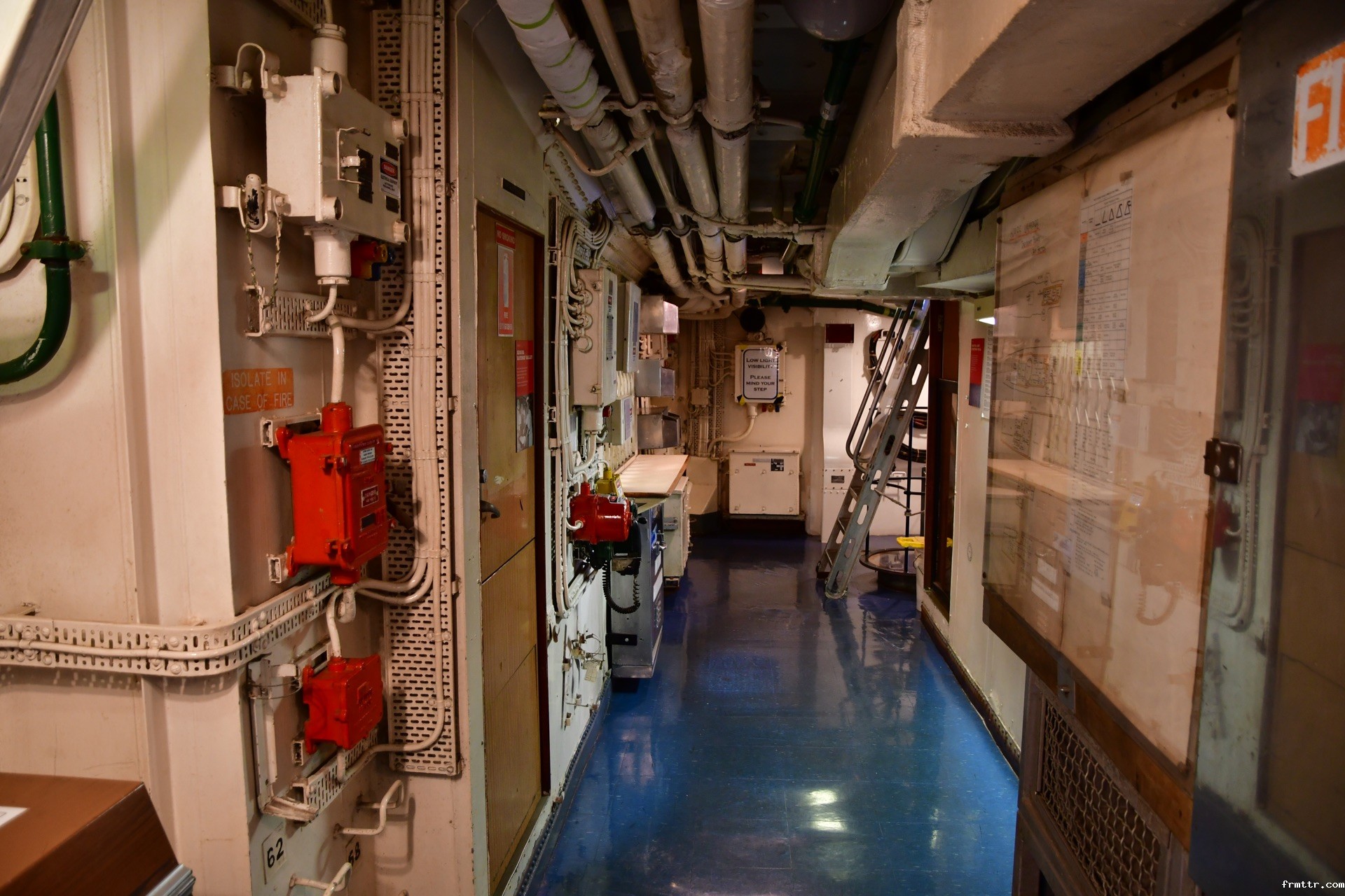 悉尼海洋博物馆：探寻海洋世界的魅力之旅