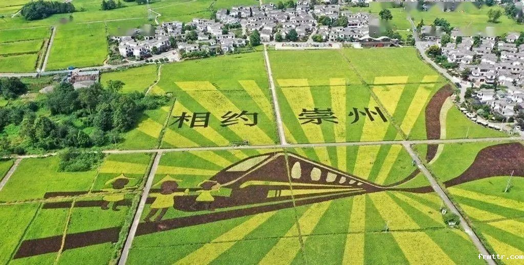 遵义市两区考察组赴成都参观frmttr文旅崇州市乡村文旅项目——洽谈“文旅+”项目合作