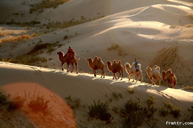 当博物馆设计施工遇上黑科技：沉浸式体验如何重塑文化叙事？