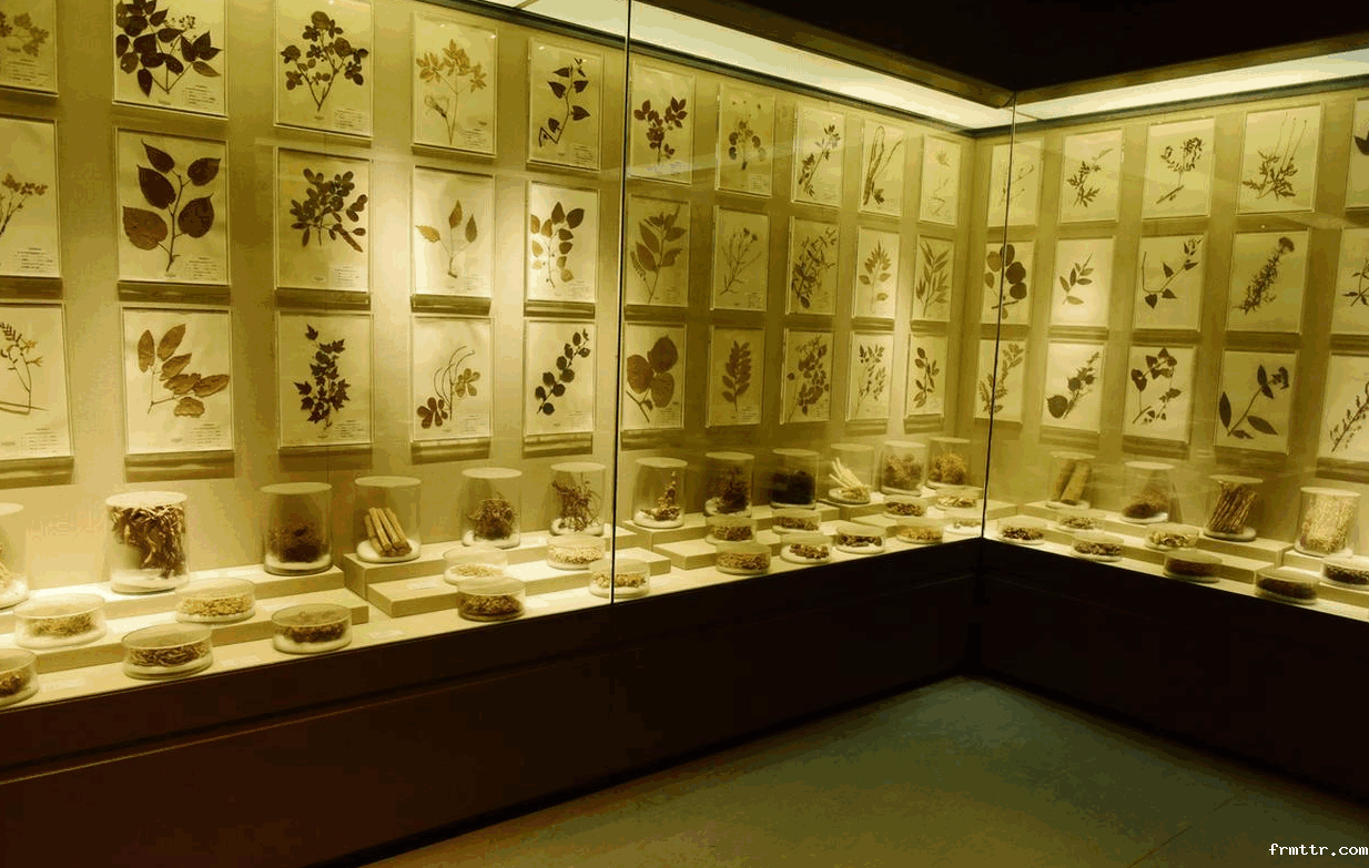 文化馆设计施工