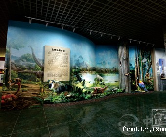 博物馆展示设计规则，设计师不能不知