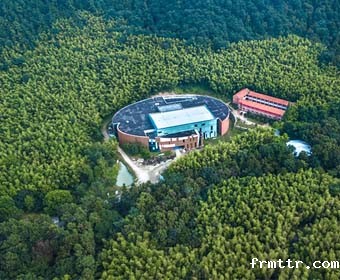 森林博物馆设计很重要，森林博物馆主要展陈什么？