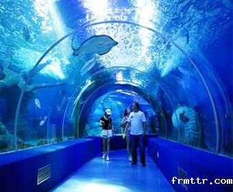 海洋科普体验展馆设计，哪些海洋馆值得去？